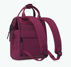 CABAIA Adventurer L Nice