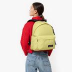 Endive Green - Sac à dos Day Pak'r