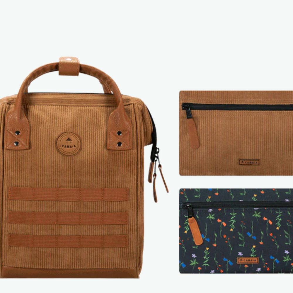 
                      
                        CABAIA Adventurer Brighton S
                      
                    